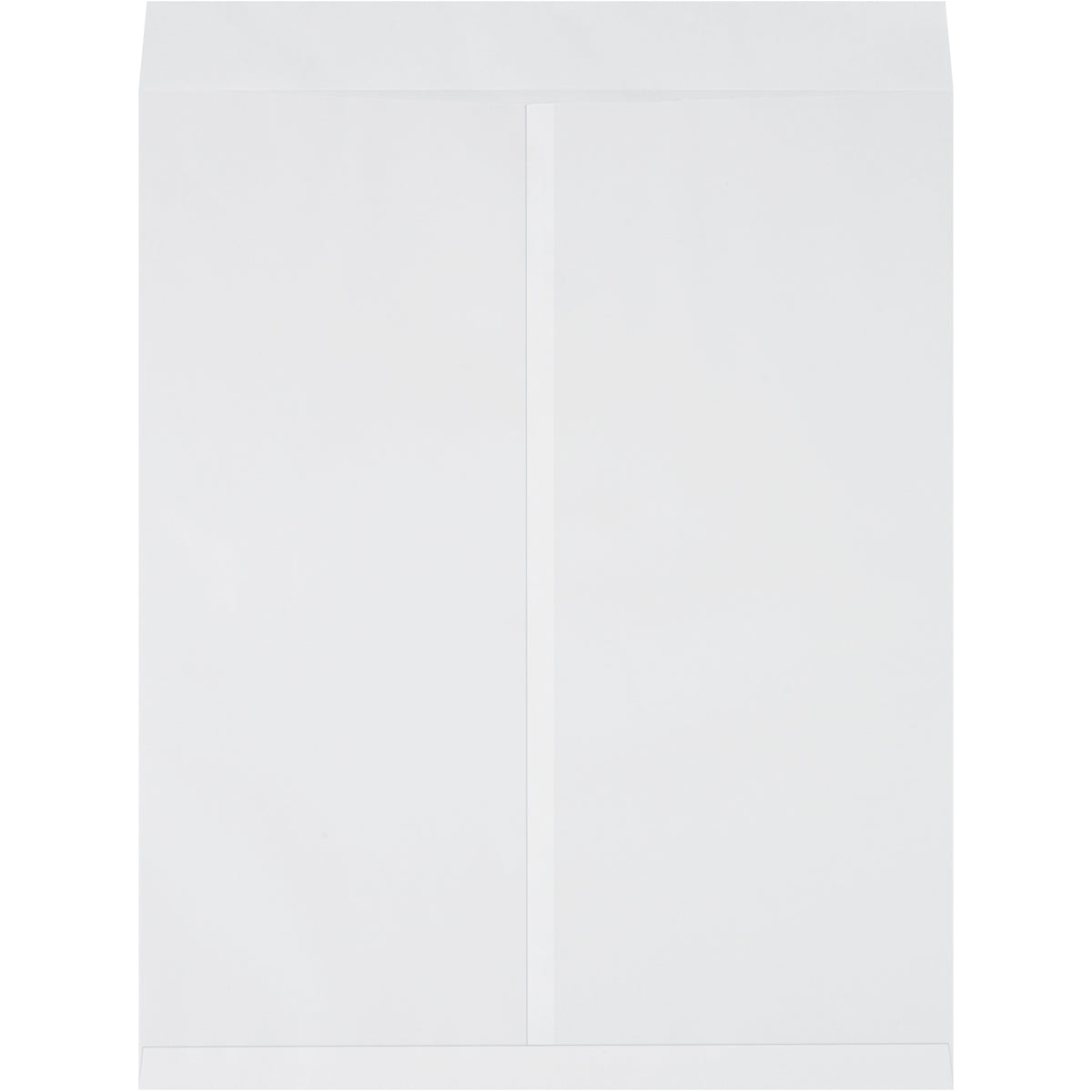 22 x 27 White Jumbo Envelopes