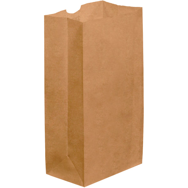 6 x 3 5/8 x 11 Kraft Paper Grocery Bags 500/Case