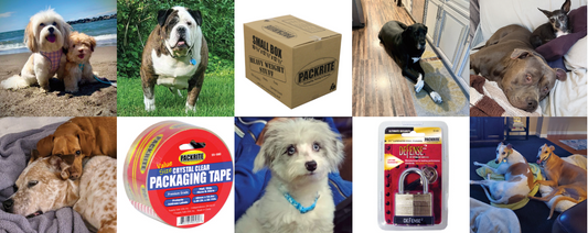 Fun, pet-friendly uses for a few of our best-selling products: