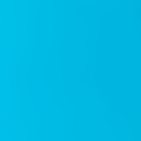 24" x 417 Feet Cabana Half Ream Gift Wrap