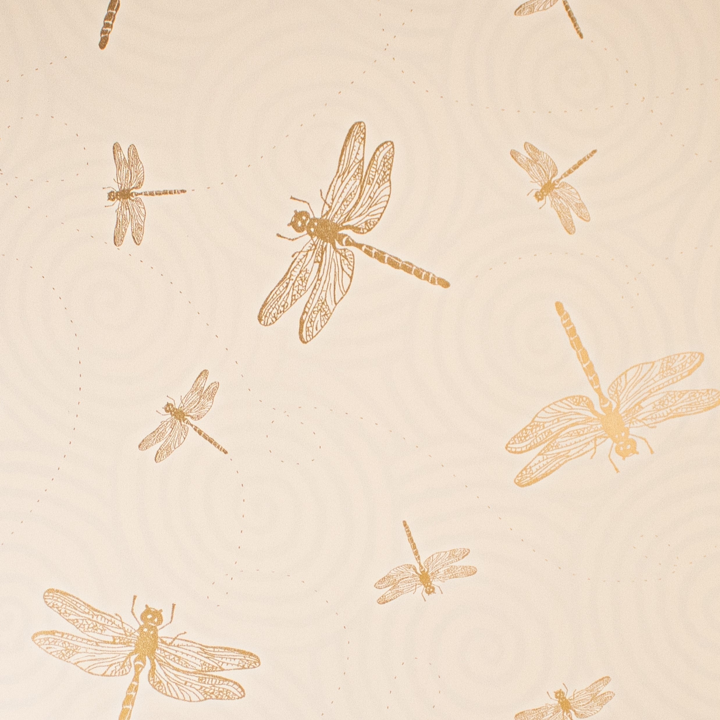 dragonflies swirls gift wrap