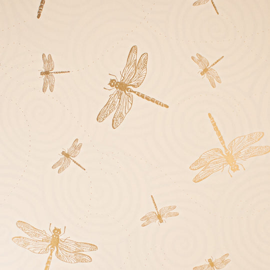 24" x 417 Feet Dragonflies-Swirls Half Ream Gift Wrap