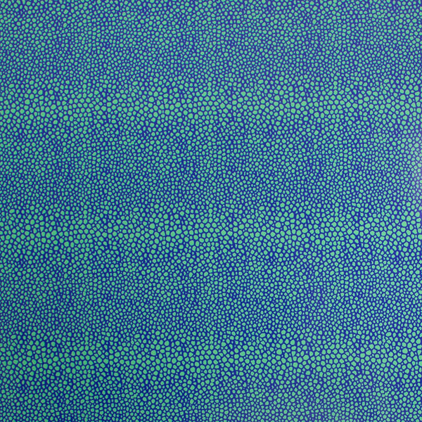 green blue stingray gift wrap