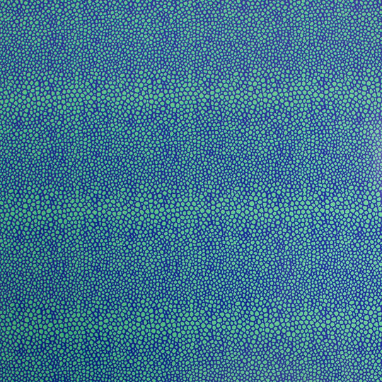 24" x 417 Feet Green-Blue Stingray Half Ream Gift Wrap