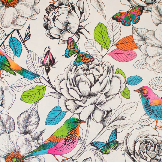 24" x 417 Feet In Living Color Half Ream Gift Wrap