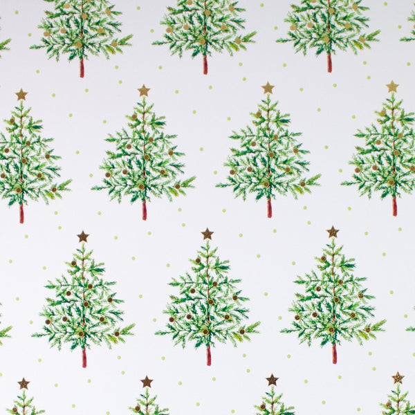 noble fir gift wrap