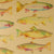rainbow trout gift wrap