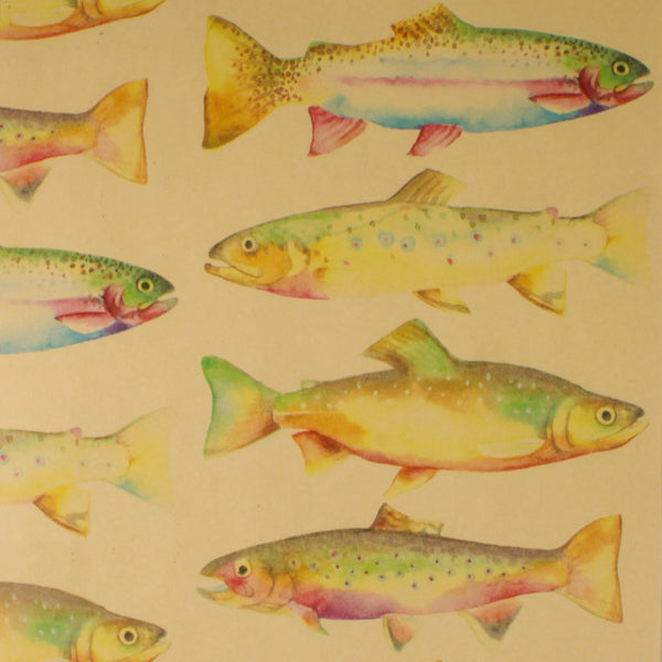 rainbow trout gift wrap