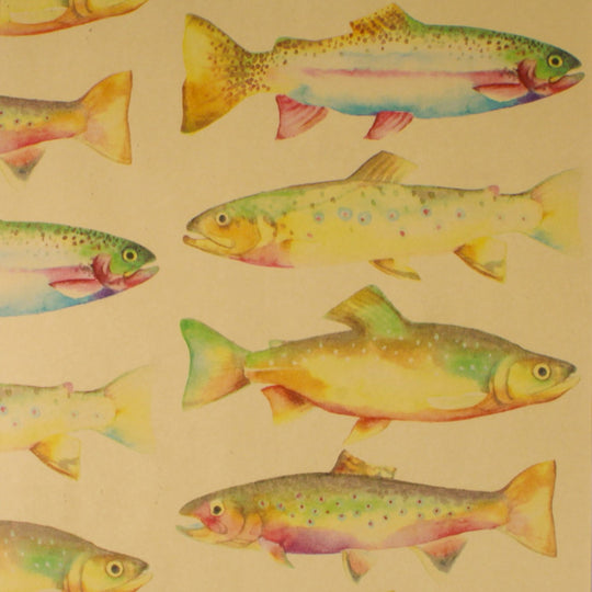 24" x 417 Feet Rainbow Trout Half Ream Gift Wrap
