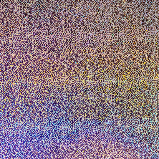 24" x 417 Feet Stingray Half Ream Gift Wrap