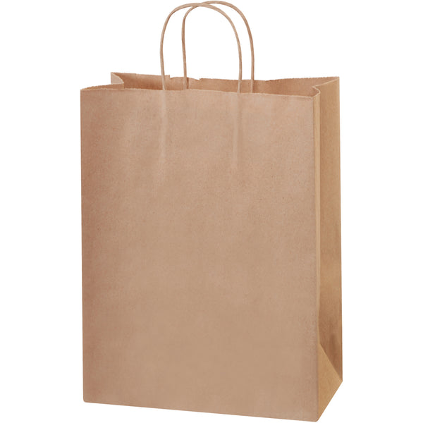 10 x 5 x 13 1/2 Kraft Shopping Bags w/ Handles 250/Case