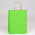 10 x 5 x 13 Apple Green Shopping Bags w/ Handles 250/Case