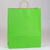 16 x 6 x 19 1/4 Apple Green Shopping Bags w/ Handles 200/Case