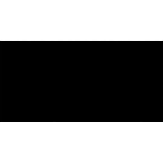 2 x 4" Black Inventory Rectangle Labels 500/Roll