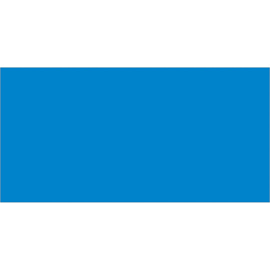 2 x 4" Light Blue Inventory Rectangle Labels 500/Roll