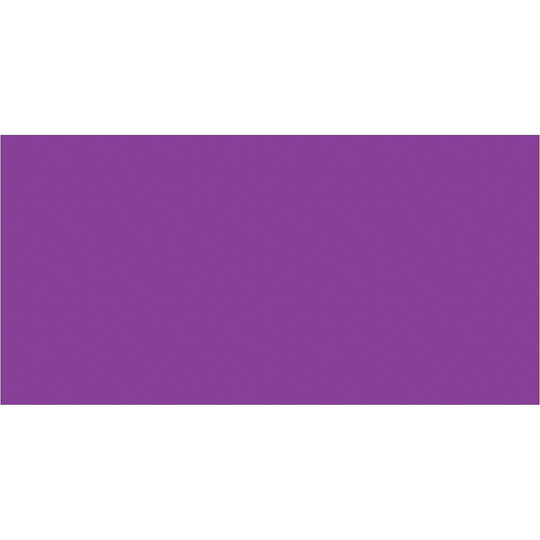2 x 4" Purple Inventory Rectangle Labels 500/Roll
