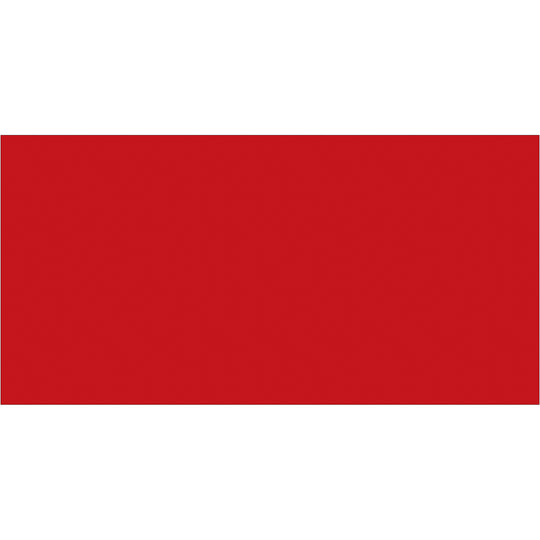 2 x 4" Red Inventory Rectangle Labels 500/Roll