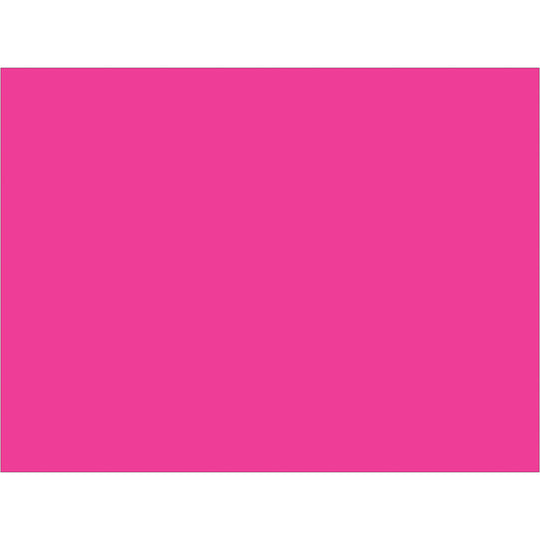 3 x 4" Fluorescent Pink Inventory Rectangle Labels 500/Roll