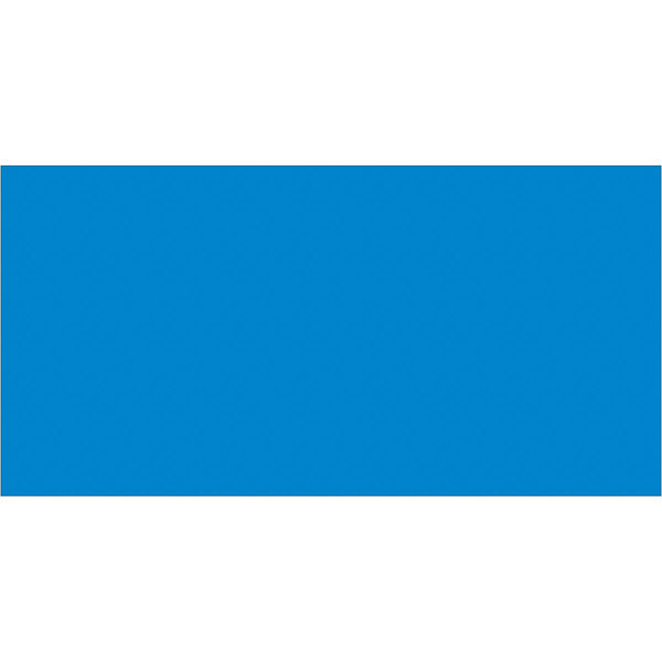 3 x 6" Light Blue Inventory Rectangle Labels 250/Roll