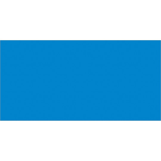 3 x 6" Light Blue Inventory Rectangle Labels 250/Roll