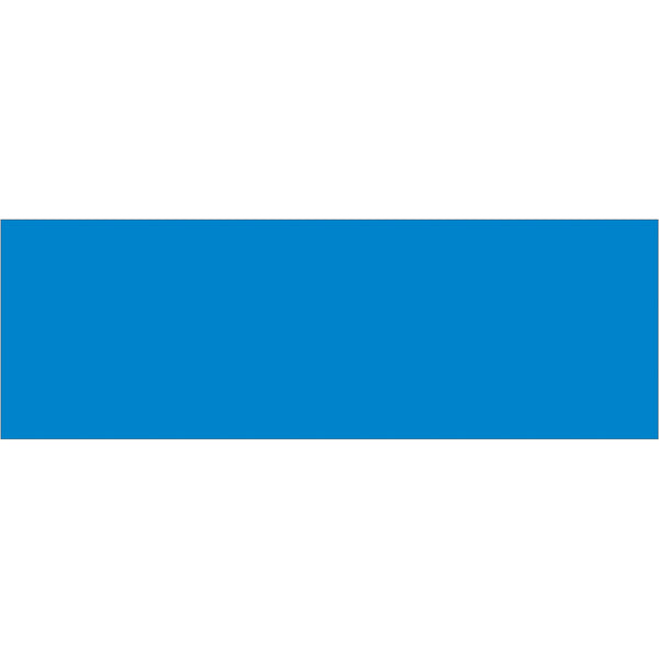 3 x 9" Light Blue Inventory Rectangle Labels 250/Roll