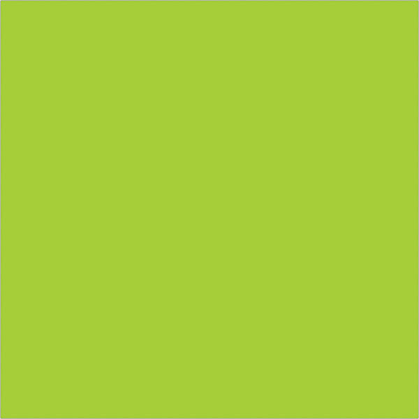 4 x 4" Fluorescent Green Inventory Rectangle Labels 500/Roll