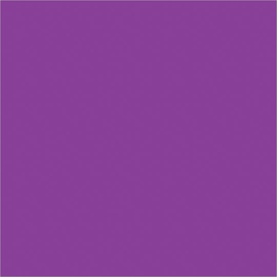 4 x 4" Purple Inventory Rectangle Labels 500/Roll