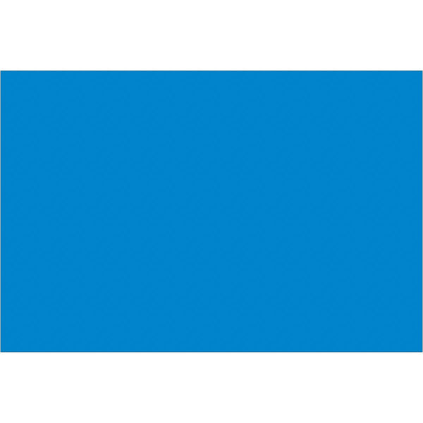 4 x 6" Light Blue Inventory Rectangle Labels 500/Roll