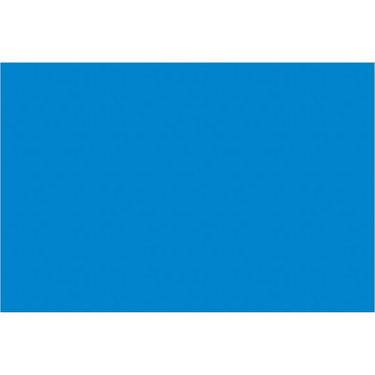 4 x 6" Light Blue Inventory Rectangle Labels 500/Roll