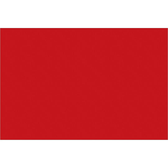 4 x 6" Red Inventory Rectangle Labels 500/Roll