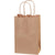 5 1/4 x 3 1/2 x 8 1/4 Kraft Shopping Bags w/ Handles 250/Case