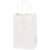 5 1/4 x 3 1/2 x 8 1/4 White Shopping Bags w/ Handles 250/Case