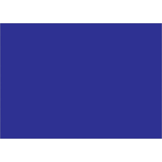 5 x 7" Dark Blue Inventory Rectangle Labels 500/Roll