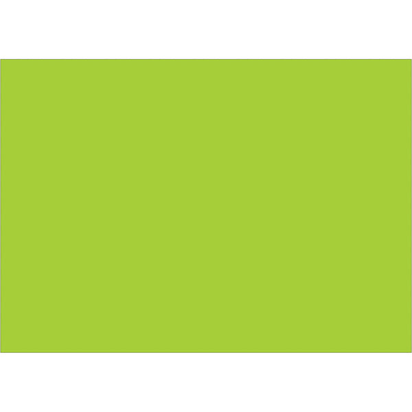 5 x 7" Fluorescent Green Inventory Rectangle Labels 500/Roll