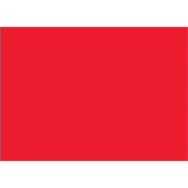 5 x 7" Fluorescent Red Inventory Rectangle Labels 500/Roll