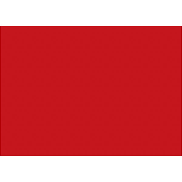 5 x 7" Red Inventory Rectangle Labels 500/Roll