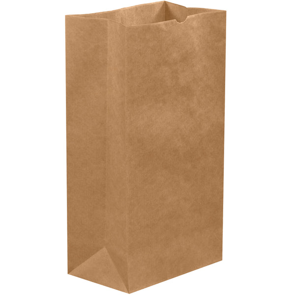 8 1/4 x 5 5/16 x 16 1/8 Kraft Hardware Bags 500/Case