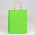 8 x 4 3/4 x 10 1/2 Apple Green Shopping Bags w/ Handles 250/Case