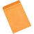9 1/2 x 12 1/2 Kraft Redi-Seal Envelopes 500/Case
