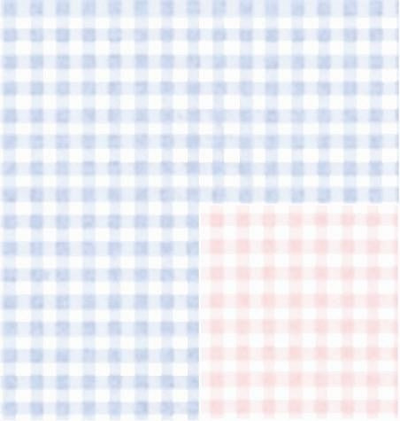 24" x 833 Feet Baby Gingham Reversible Full Ream Gift Wrap