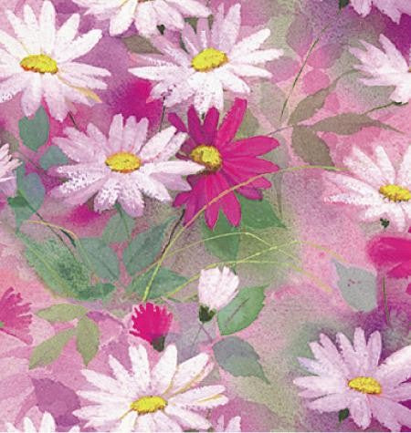 24" x 833 Feet Daisy Dance Full Ream Gift Wrap