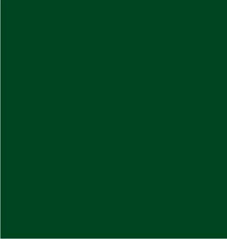 24" x 417 Feet Forest Green Half Ream Gift Wrap