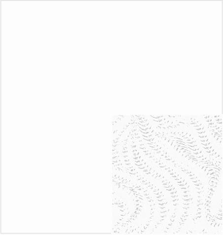 24" x 417 Feet White Grain Half Ream Gift Wrap